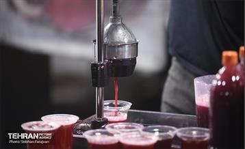 یازدهمین جشنواره صد دانه یاقوت 13