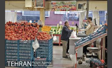 میدان میوه وتره بار شهید غیبی شهرری 23