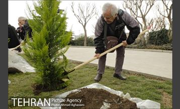 آیین درختکاری در بوستان گفتگو 14