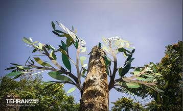 جان دوباره در درختستان 15