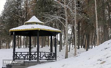 روز برفی در منطقه 13 18