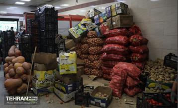 تره‌بار یلدایی 52