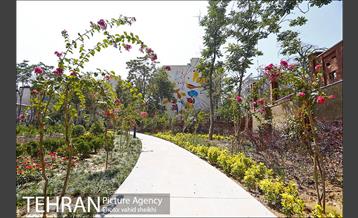 بوستان پدر 15