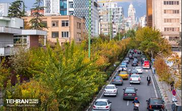 سمفونی رنگ های پاییزی  37