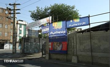 عرضه دام زنده بهداشتی ویژه روز عرفه و عید قربان 21