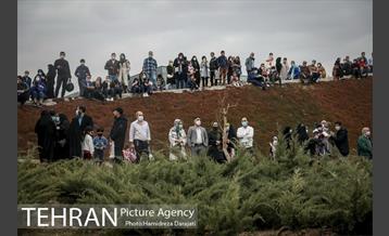 اجرای کنسرت سالار عقیلی در باغ کتاب 10