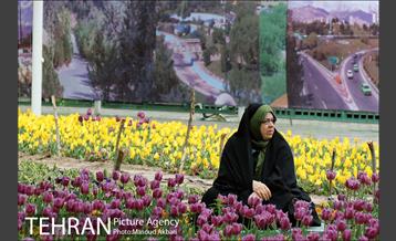 جشنواره لاله‌ها در بوستان زندگی محله هرندی 11
