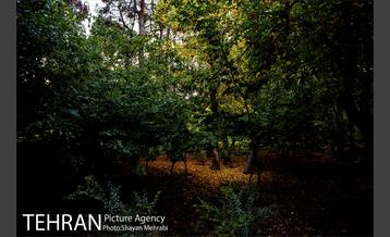 پاییز پارک شهر 27