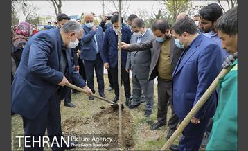 مراسم درختکاری در بوستان ولایت  5