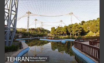 شبگردی اصحاب رسانه در منطقه چهار شهرداری تهران  5