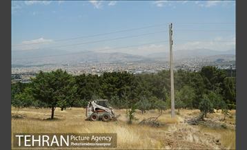 علف زنی بوستانهای تهران برای مقابله با آتش سوزی 23