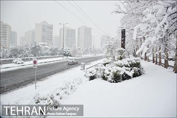 بارش برف زمستانی در تهران-2 9