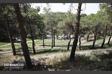روز طبیعت در پارک جنگلی لویزان 44