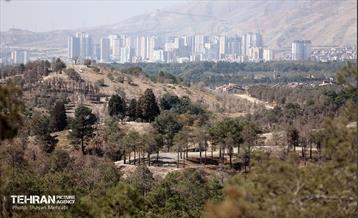 بازدید اصحاب رسانه از روند انجام عملیات احیای چیتگر 14