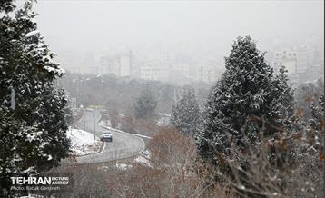 بارش برف زمستانی در بوستان سرخ حصار 15