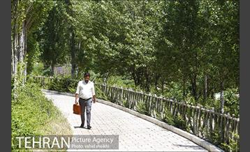 بوستان تندرستی 7