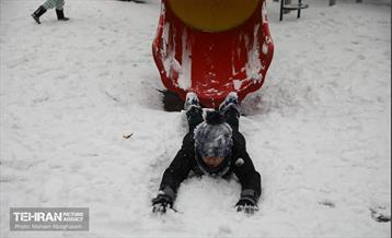 روز برفی تهران - 2 39