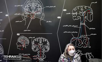 رقابت نهایی 50 شهروند سالمند در لیگ حافظه 5