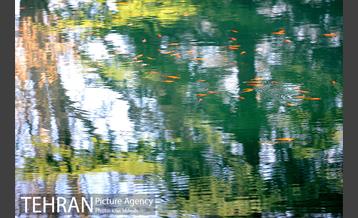 بوستان جمشیدیه (باغ سنگی جمشیدیه) 42