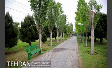 بوستان آزادگان 47