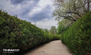 باغ گیاه‌شناسی 46