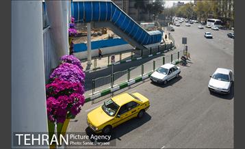 گل آرایی پل سیدخندان 15