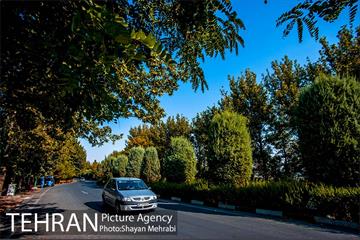 بوستان جنگلی چیتگر 11