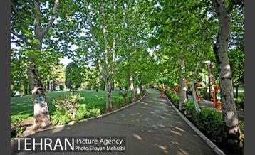 بوستان لاله 32