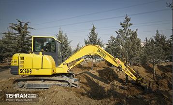 جابجایی اصولی 106 اصله درخت در منطقه 5 شهرداری 7