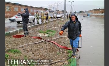 بازدید مدیران شهری از لایروبی و رسوب زدایی شبکه جمع آوری آبهای سطحی 3