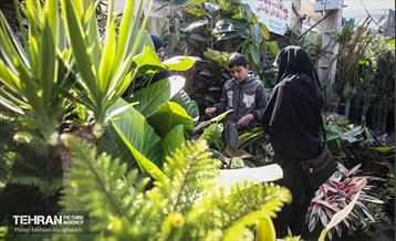 بازار گل شهید محلاتی در آخرین روزهاى سال 34