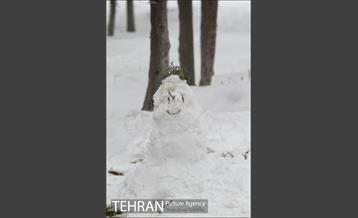 بارش برف در تهران 2