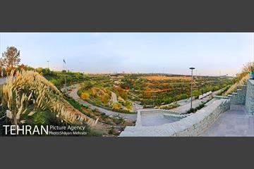 بوستان نهج البلاغه (فاز2) 1
