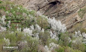 هوای بهاری منطقه 22 5