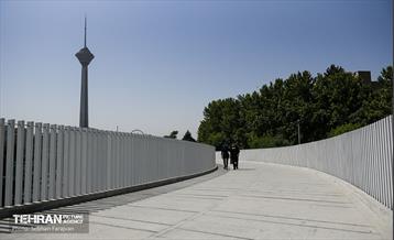 پل تندرستی 14