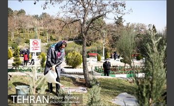 آیین کاشت نهال دوستی با حضور همسران دیپلمات مقیم ایران 26