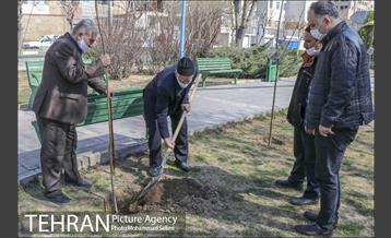جشن نهال هاى کوچک شهر و تخم مرغ هاى رنگى در منطقه ٩