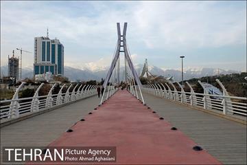 روز درختکاری در گنبد مینا 12