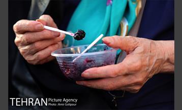 دومین جشنواره شاتوت دردهستان سولقان 8