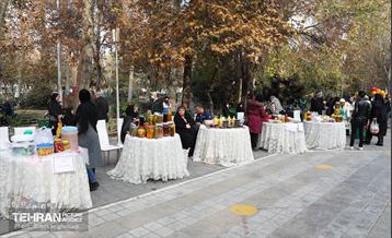 ضیافت طعم و رنگ در منطقه ۹ 1