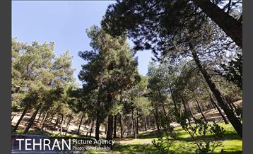 آیین افتتاح و بهره برداری از بوستان مرضیه حدیدچی دباغ  23