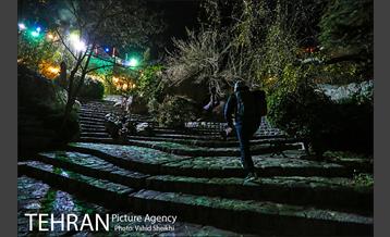 بوستان جمشیدیه 18