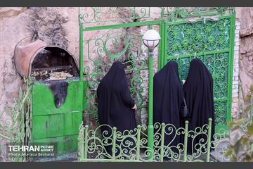 بازدید اعضای شورای شهر از حریم منطقه 20