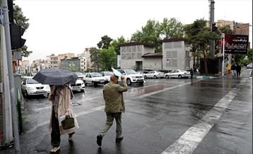 بارش باران بهاری در تهران - 2 5