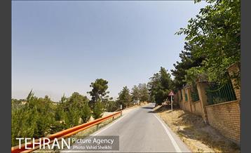 بوستان جنگلی یاس فاطمی 2