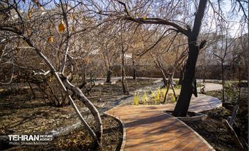 باغ گلاریس 24