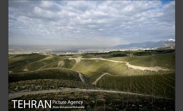 بازدید از پروژه جنگل کاری 1250 هکتاری 20