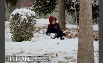 بارش نخستین برف پاییزی تهران 16