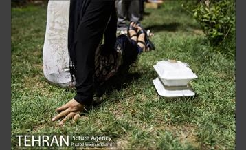 فعالیت مداوم جمعیت پردیس پایان کارتن خوابی‎ 8