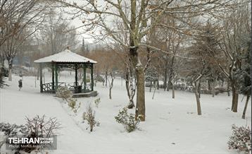 بارش برف زمستانی در منطقه ۲ 22